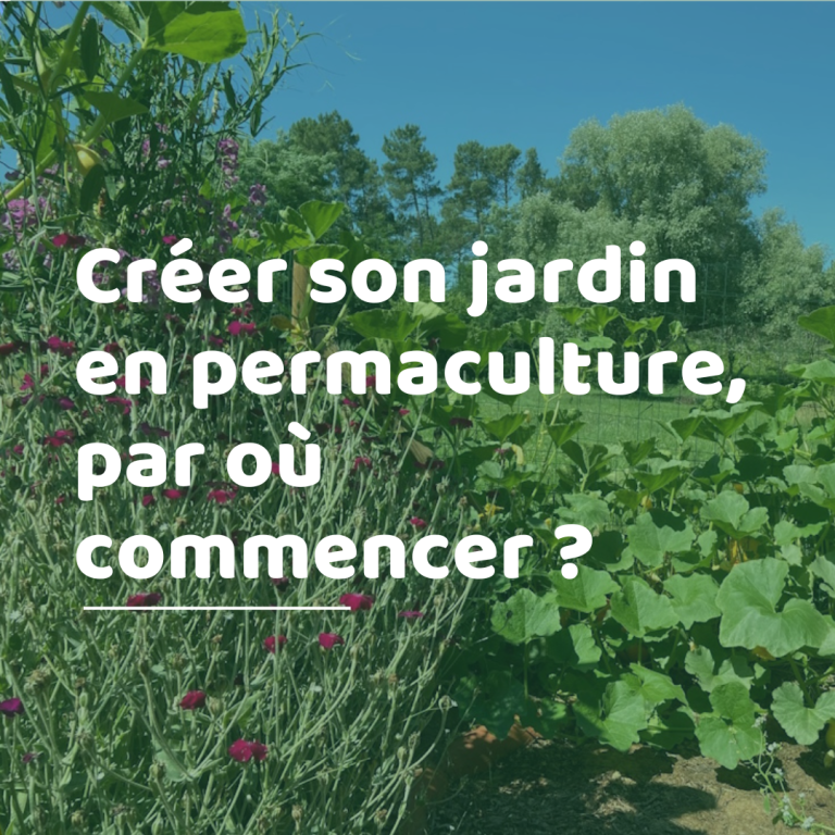 Créer son jardin en permaculture, par où commencer ?