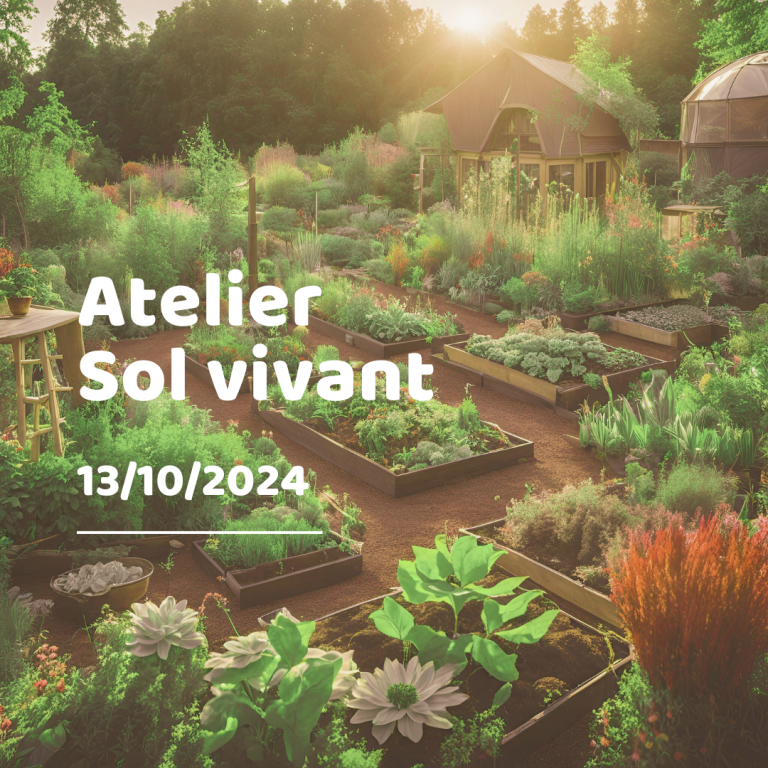 Atelier sol vivant